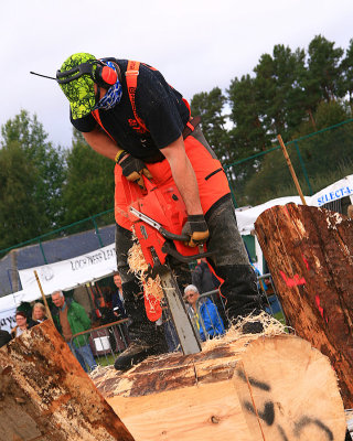 Craig Steele Carve Carrbridge 2016 01.jpg