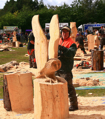 Mick Burns Carve Carrbridge 2016 03.jpg