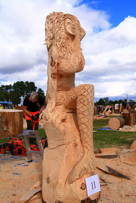 Roni MacDonald Carve Carrbridge 2016 05.jpg