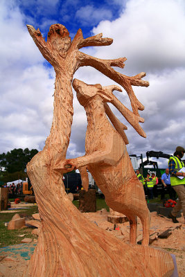 Tom Harris Ward Carve Carrbridge 2016 07.jpg