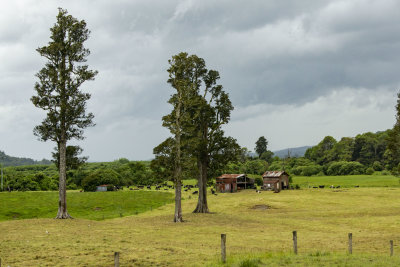 Rural