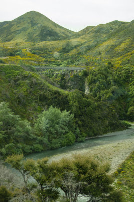 River Bridge