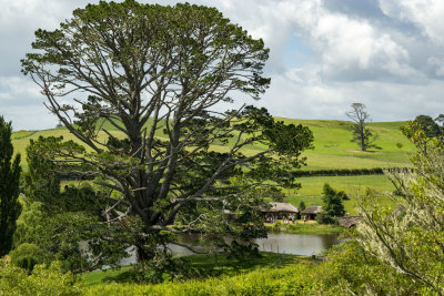 The Party Tree