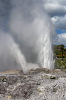 Twin Geysers, Pohutu and Prince of Wales