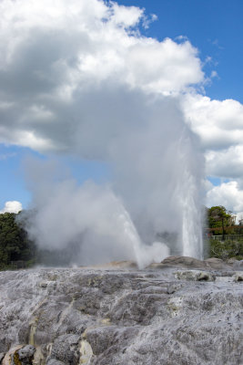 Twin Geysers, Pohutu and Prince of Wales