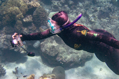 Diving Dana