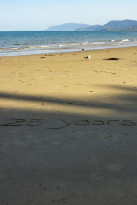 25 Years in the Sand