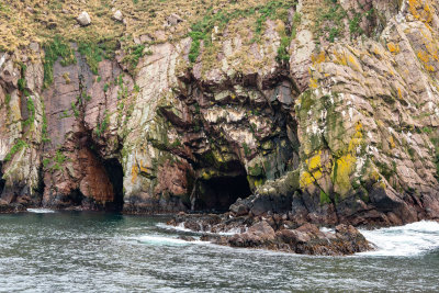 Puffin Island Cave