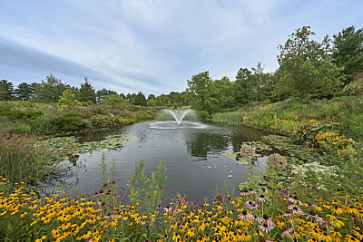 Holden Arboretum