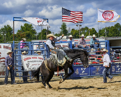 More Rodeos