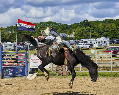 More Rodeos