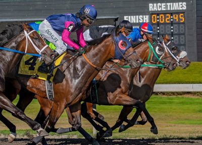 Horse Racing At Emerald Downs