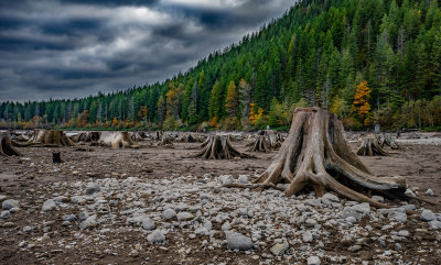 The Shore of Rattlesnake Lake