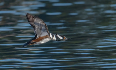On The Move
