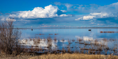 Fishing Under The Clouds