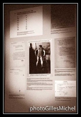 dachau-20.jpg