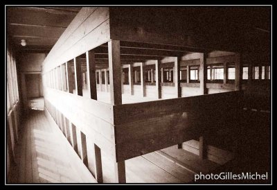 dachau-32.jpg