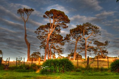land_and_sea_scapes