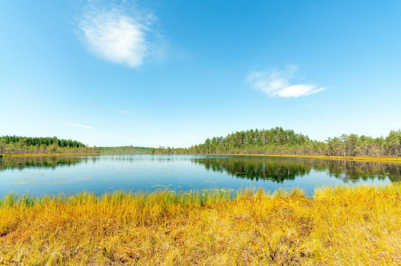 Leivonmäki national park - Kirveslampi, 6.August 2020