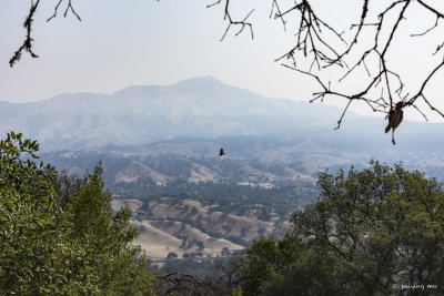 Hazy view of Mt. Diablo, thanks to forest fires