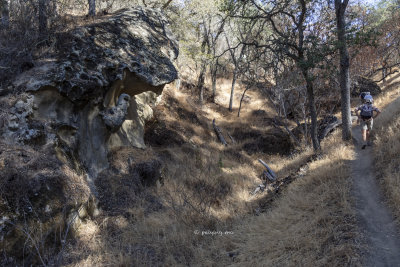 Soft sandstone along the trail