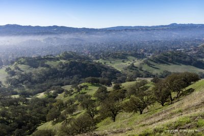 Panoramic view from the Shell Ridge