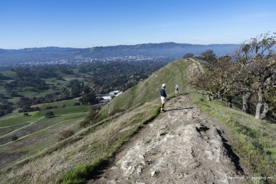 The rolling hill of the Shell Ridge