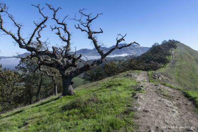 Walnut Creek Open Space Preserve