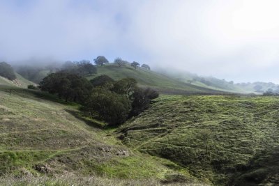 Ridge in and out of the fog