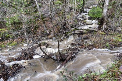 Upper Penitencia Creek