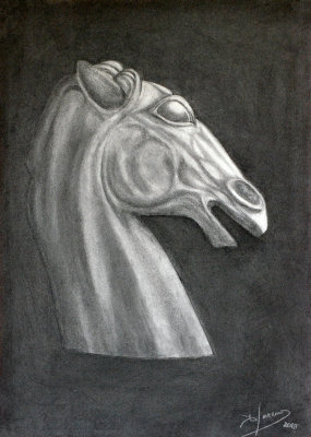 Charcoal - 
Horse's head