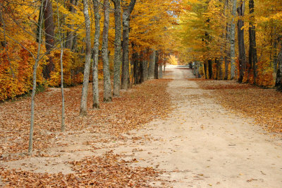 A Half an Hour Walk By La Granja Gardens (Segovia)