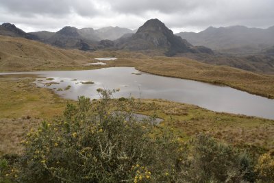 Cajas National Park - The Andes