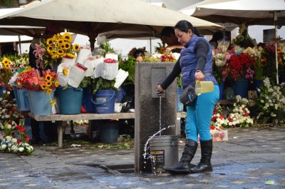 Water for flowers