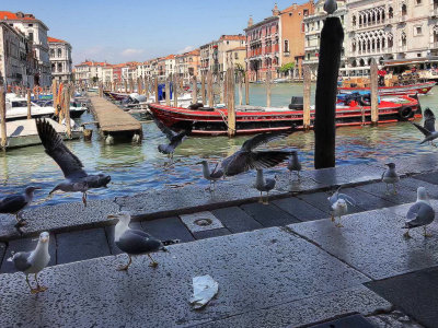 fish market