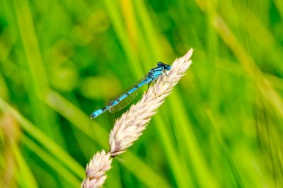 DSC_5024 small.jpg