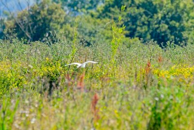 DSC_5097 small.jpg