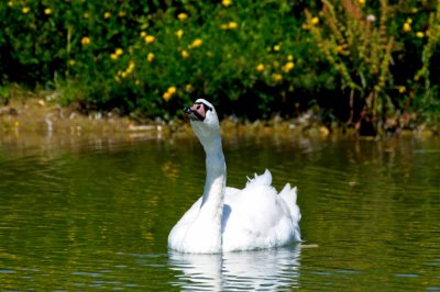 DSC_5127 small.jpg