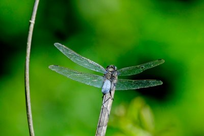 DSC_5150 small.jpg