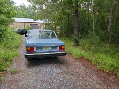 242_rear.jpg