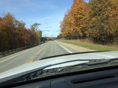 fall_driving_in_N._MI.jpg