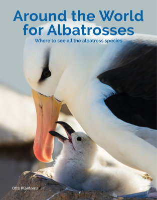 Albatross Book & Penguin Book