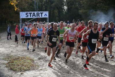 lange cross