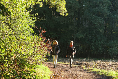 Herstwandeling 16 okt 2022