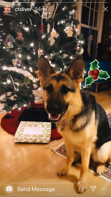 xmas19.jpg