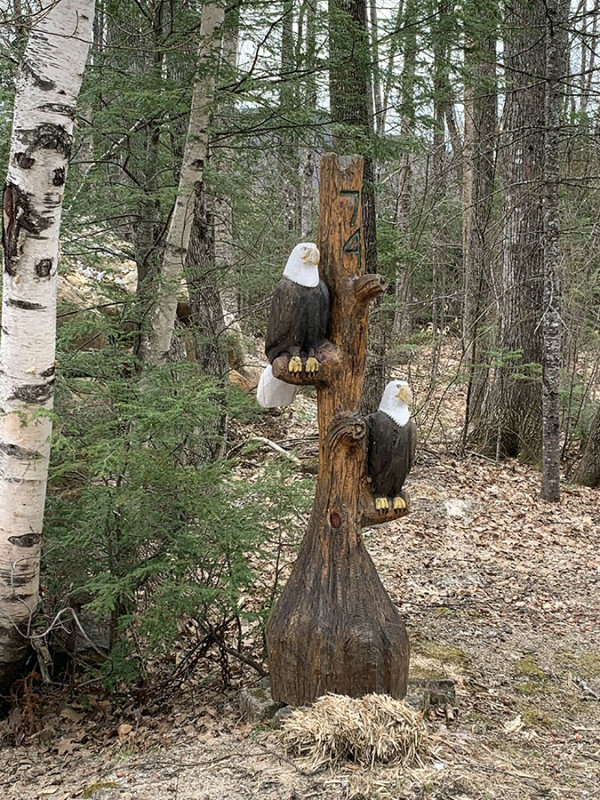 eaglemntrd.jpg