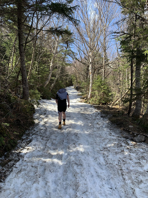 snowlevel.jpg