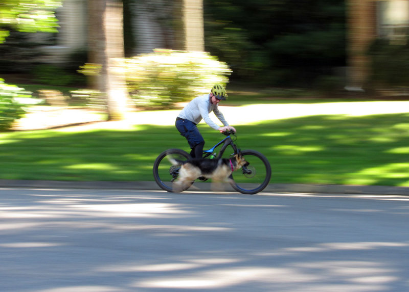 levo-blur2.JPG
