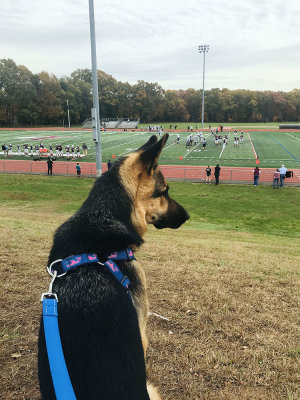 footballoct19.jpg