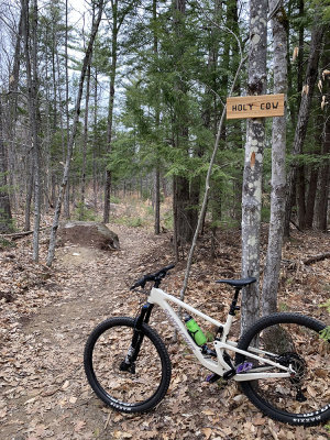 marshalls-bike.jpg